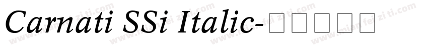 Carnati SSi Italic字体转换